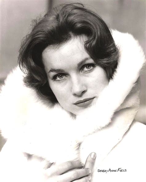 Shirley Anne Field | Shirley anne field, Classic actresses, Brigitte