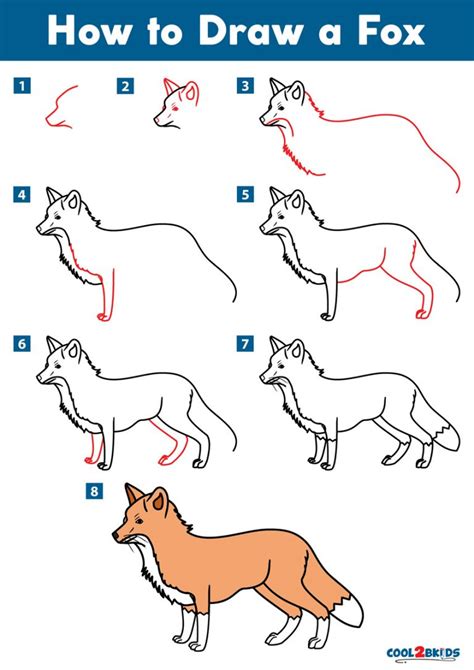 How to Draw a Fox - Cool2bKids