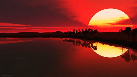 30 Most Beautiful Sunrise Photography examples - Amazing Pictures