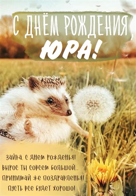 Детские картинки - С днем рождения, Юра! (35 фото)