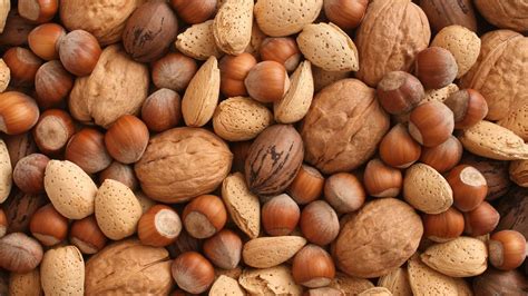 scandals   nut industry    nutty youtube