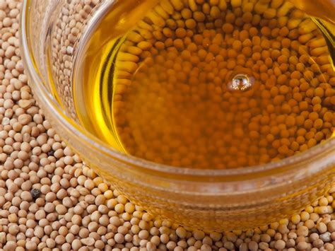 Такі різні рослинні олії - яка краща? — блог FoodEx