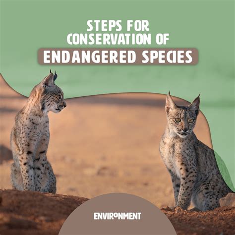 Steps for Conservation of Endangered Species - Environment Co