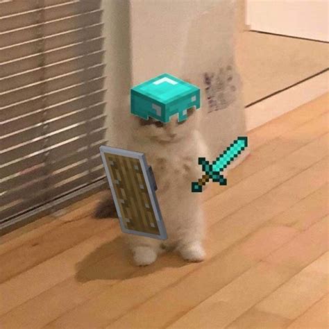 gato minecraft en  imagenes divertidas de animales minecraft