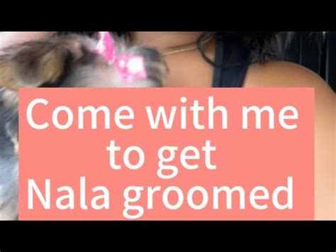 The Nala Fitness Leak: Will They Ever Recover? - 7gsbbrh