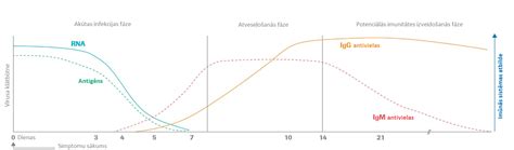 Centrālā laboratorija piedāvā veikt analīzes antivielu noteikšanai pret ...