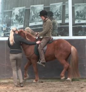 Horse gaits - Straightness Training