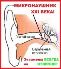 Микронаушники в Красноярске | Микронаушник Красноярск. 2024 | ВКонтакте