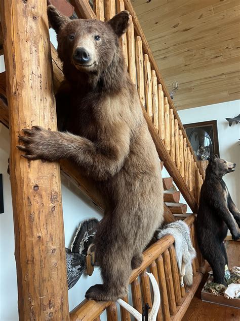 barn shop build page  ford truck enthusiasts forums