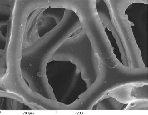 clean sponge  sponge  biomass     result