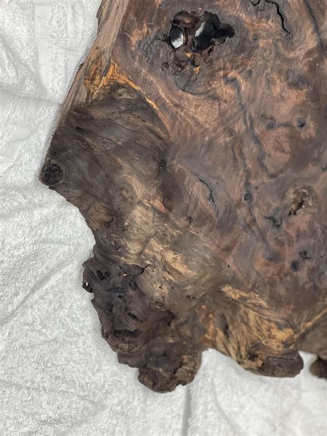 Walnut canker disease : r/Woodporn