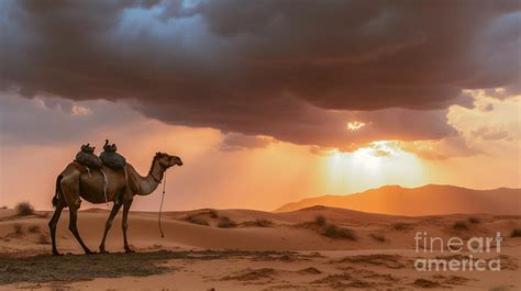 Camel in desert dramatic sunset approaching by Asar Studios Painting by ...