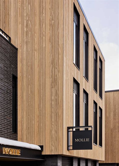 MOLLIE Aspen — HayMax Capital