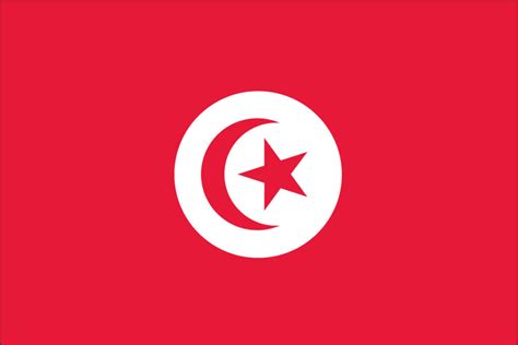 tunisia flag elmers flag  banner