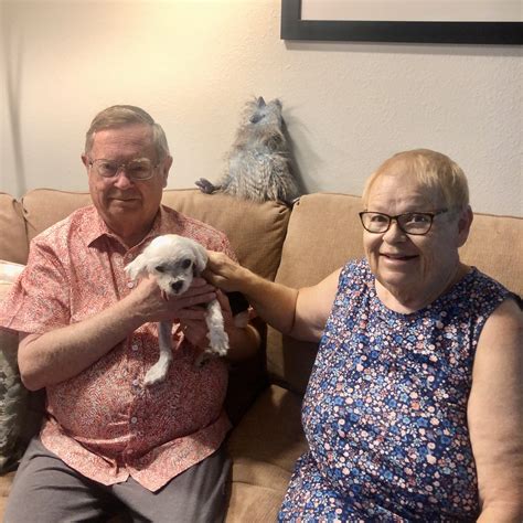 Tiny Pops - Permanent Residents - Poodle and Pooch Rescue of Florida
