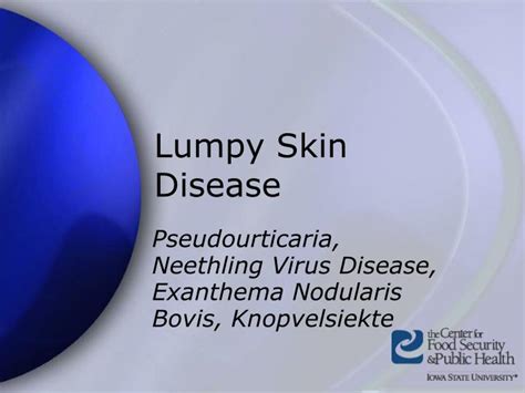 PPT - Lumpy Skin Disease PowerPoint Presentation - ID:3826381