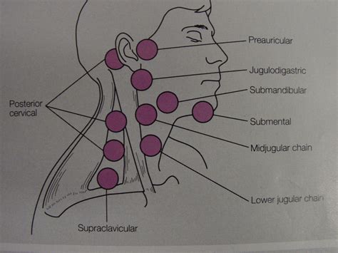 Neck | Surgery Photos
