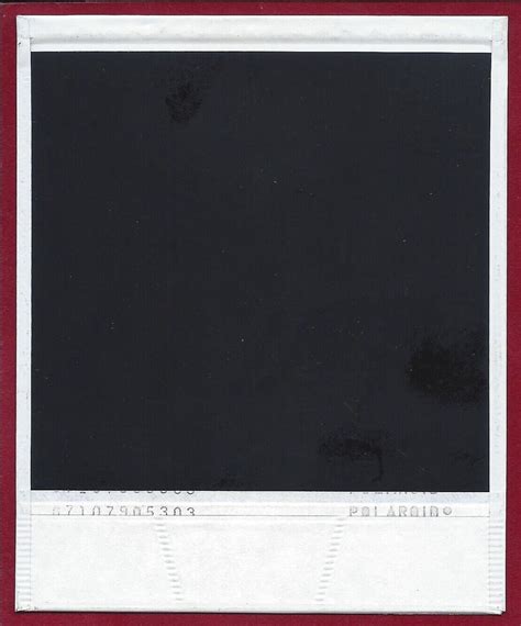 1980's Vintage Nude Polaroid Photo~Sultry Black Ebony Pinup Working