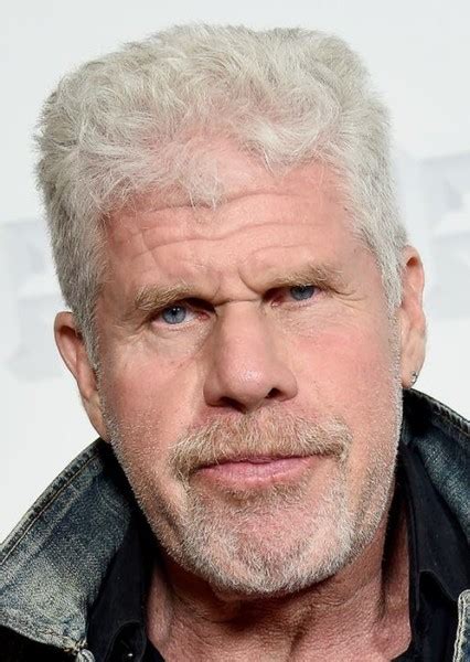ron perlman actor net worth 2022