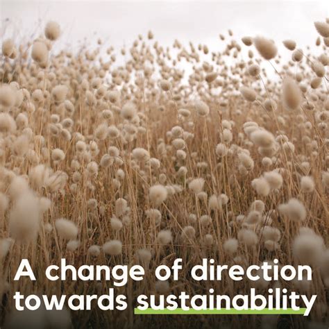 Slow Fiber on LinkedIn: Being a member of the Slow Fiber network ...