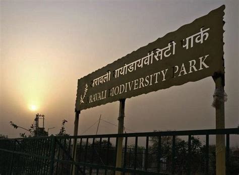 Forest in my backyard: Saving the Aravali Biodiversity Park - iamgurgaon