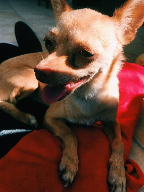 Fans are debating if trina is the queen of the south 26