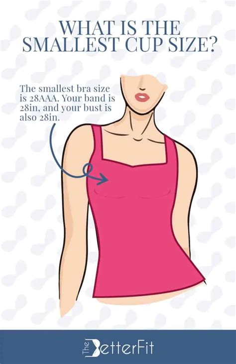 28a Breast