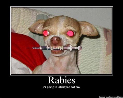 Rabies - Picture | eBaum's World