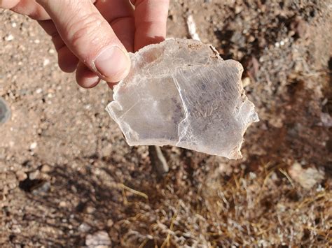 Selenite: Ultimate Guide To Collecting Selenite (What It Is and Where ...