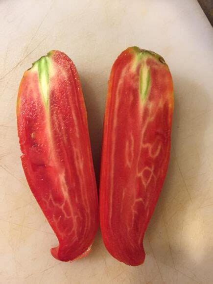 Jersey Devil Tomato Seeds | Heirloom | Organic - Tim's Tomatoes