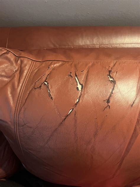 Looking to repair my real leather couch. Recommendations on best way to