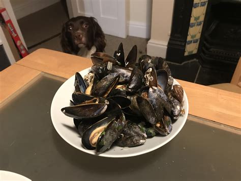 252 best Shellfish images on Pholder | Food, Bossfight and Bingbongtheorem
