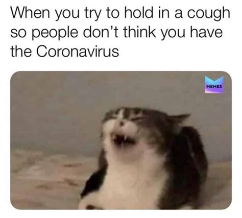 30 Of The Funniest Coronavirus Memes To Get You Through Self-isolation ...