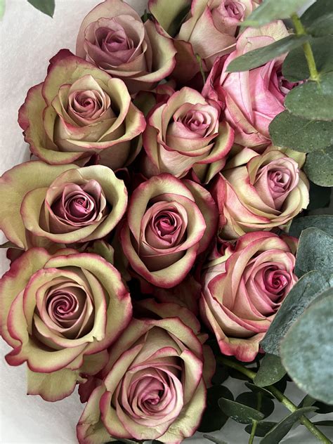 Luxury “Vintage” Ecuador Roses - Make Every Day Bloom