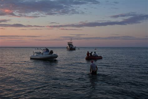 Loren King, A Renaissance Man In The Open Water – World Open Water