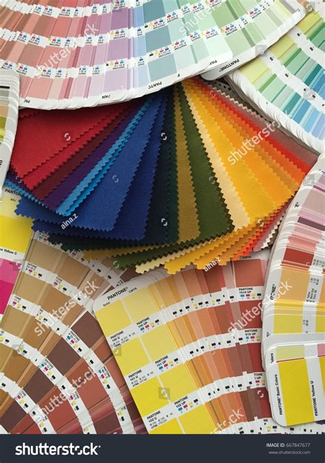Pantone Stock Photo 667847677 | Shutterstock 