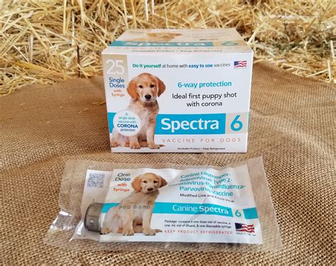 vaccine dog vaccine spectra  puppy shot  corona protection  dose  syringe  store