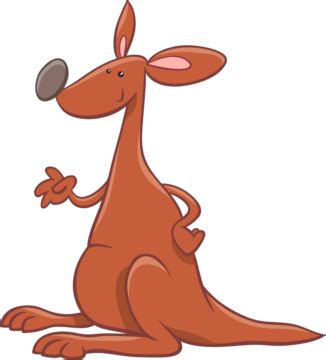 kangaroo exams 8