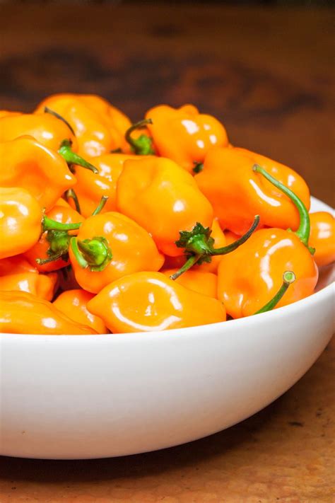 Habanero Pepper: Profile, Uses, Heat | Stuffed peppers, Habanero ...