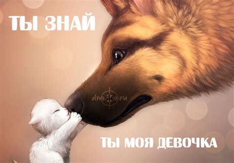 Картинки милые | | Drasler