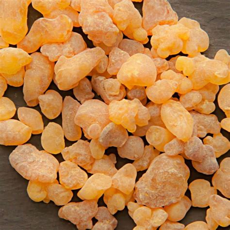 frankincense boswellia serrata  pure essential oil alternative
