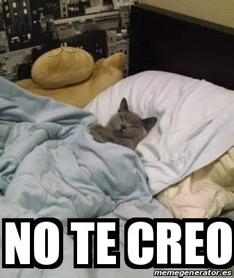 meme personalizado  te creo