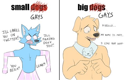 gay_irl : r/furry_irl
