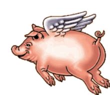 pig pfp pig profile pics