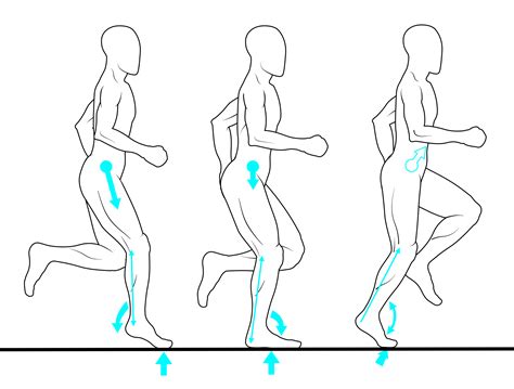 The Gait Cycle in Running - Healthy Step