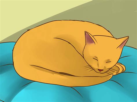 4 Ways to Treat Lice in Cats - wikiHow | How to treat lice, Cat lice, Louse