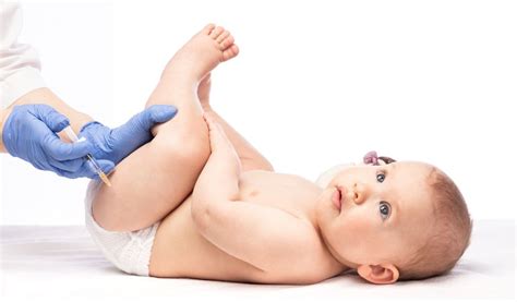 A Injeção De 3 Meses Engorda - Vacina de 3 meses: para que serve e reações | Blog Nav Dasa