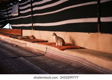 1,648 Traditional Bedouin Tent Images, Stock Photos, 3D objects ...