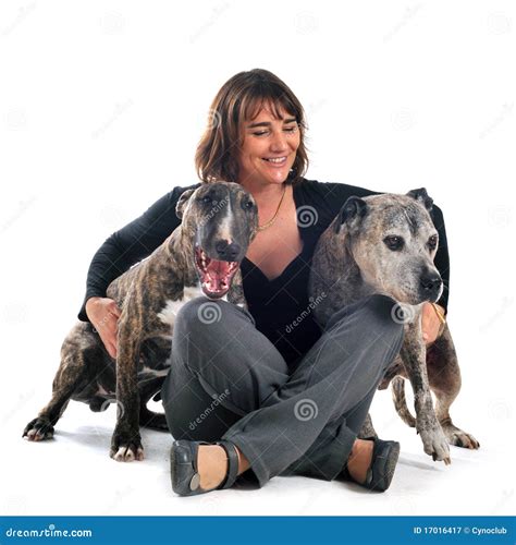 Mujer y perros imagen de archivo. Imagen de fondo, vigilancia - 17016417