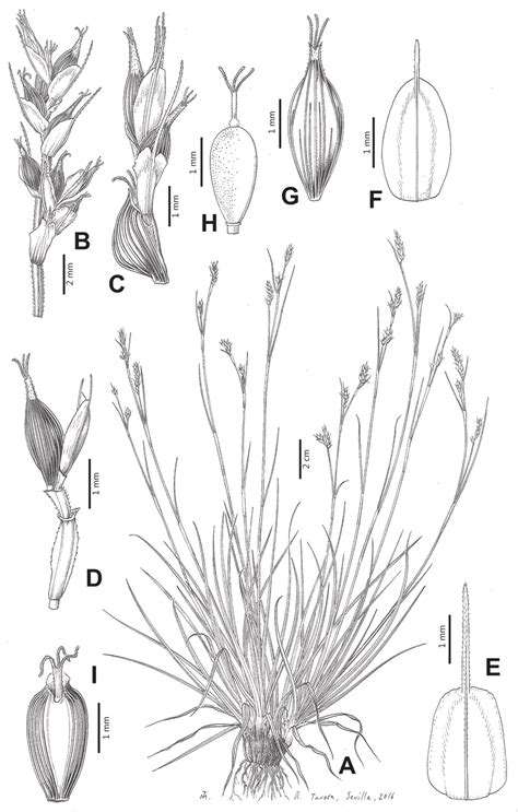 Analytical Drawing at PaintingValley.com | Explore collection of Analytical Drawing